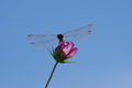 20181004063043