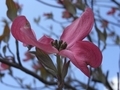 20181014091908