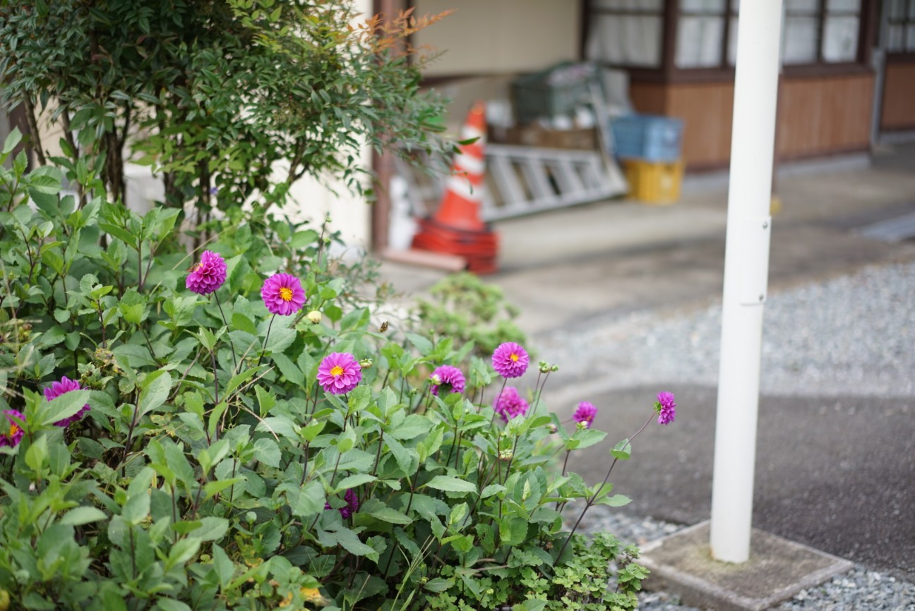 f:id:saiwai326:20261005125659j:image