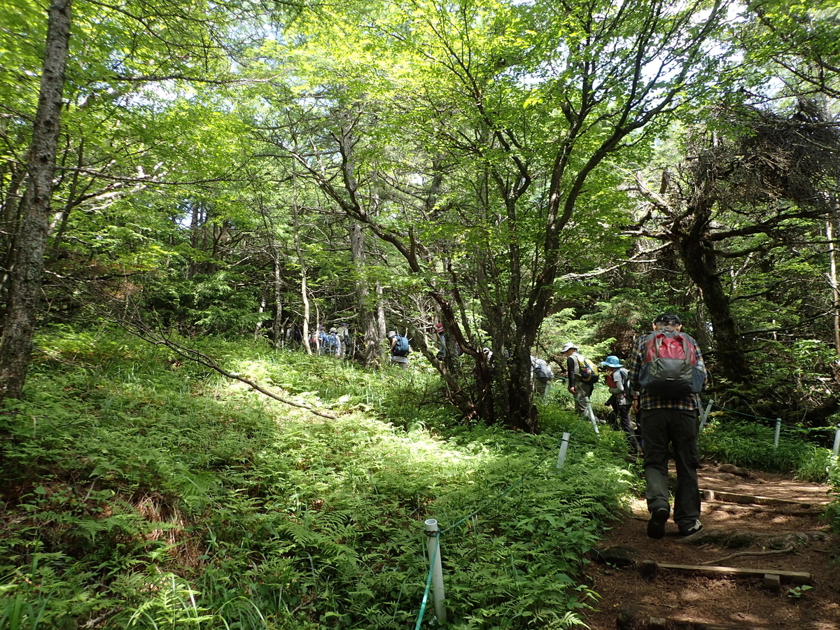 f:id:saiyuclub:20190726081008j:plain