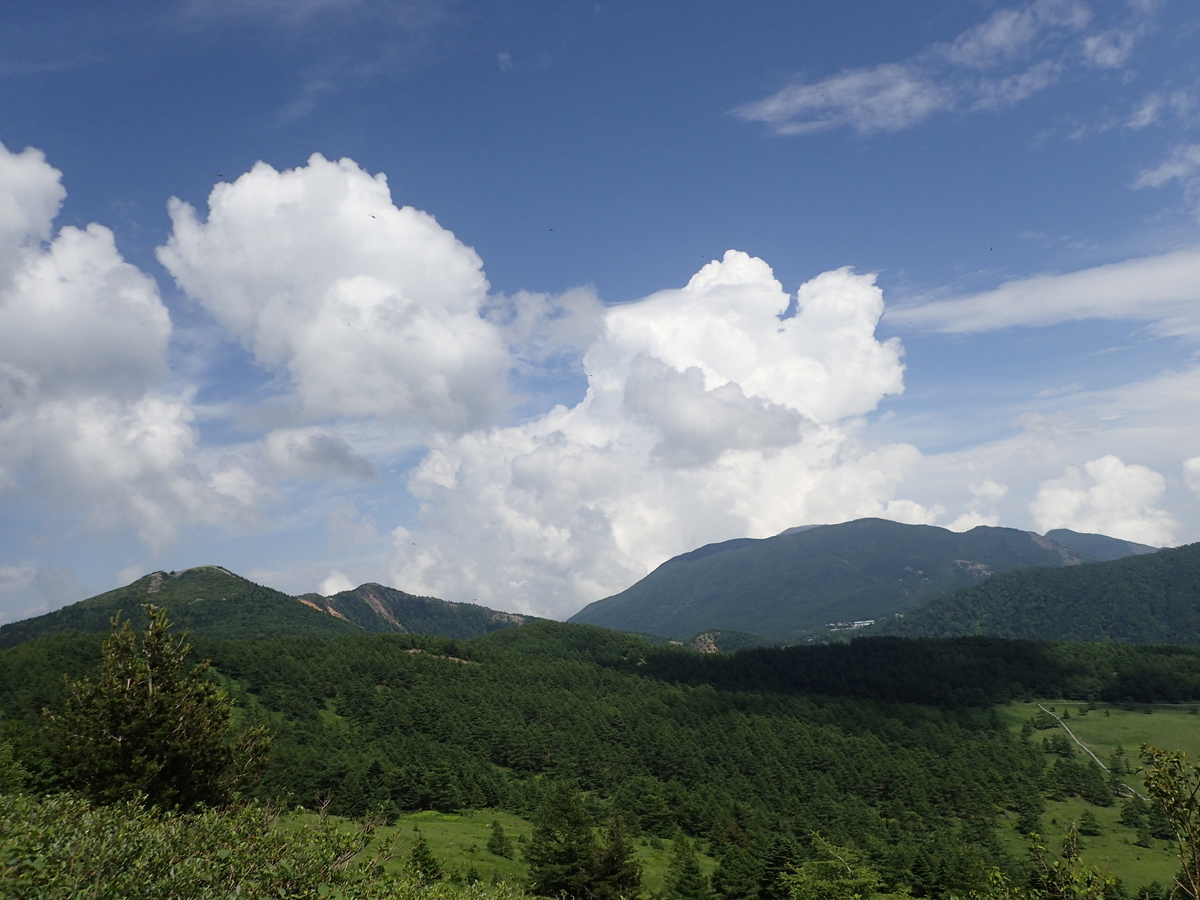 f:id:saiyuclub:20190726081348j:plain f:id:saiyuclub:20190726081348j:plain