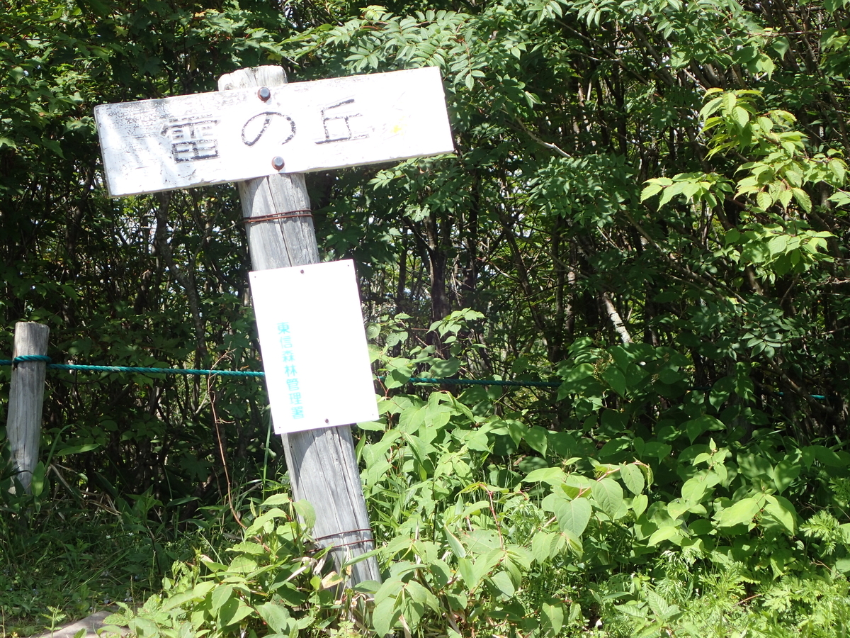 f:id:saiyuclub:20190726081426j:plain f:id:saiyuclub:20190726081426j:plain