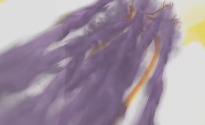 f:id:sajidq:20231214132732j:image