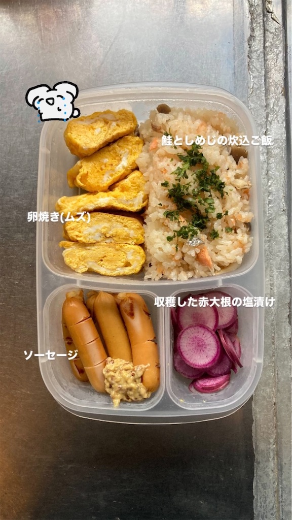 f:id:sajika_gen:20241006210416j:image