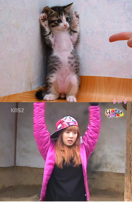 f:id:sak-tak:20100516115558j:image