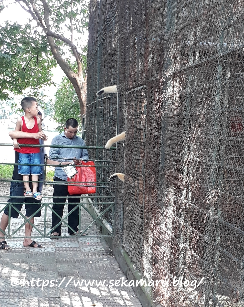 f:id:sak1gk:20190508100356j:plain f:id:sak1gk:20190508100356j:plain