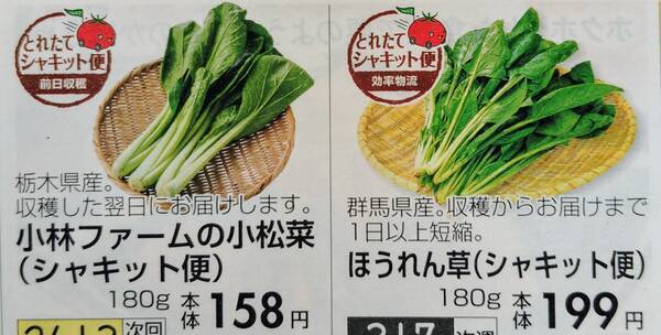 おうちコープ「取れたてシャキット便」
