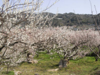 f:id:sak1sak:20120320094153j:image f:id:sak1sak:20120320094153j:image