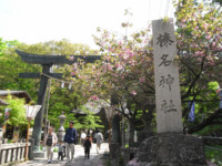 f:id:sak1sak:20120526095758j:image