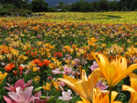 f:id:sak1sak:20120630101903j:image f:id:sak1sak:20120630101903j:image