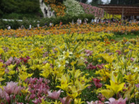 f:id:sak1sak:20120630103128j:image f:id:sak1sak:20120630103128j:image