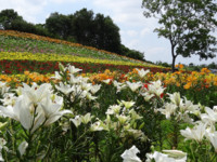 f:id:sak1sak:20120630103928j:image f:id:sak1sak:20120630103928j:image