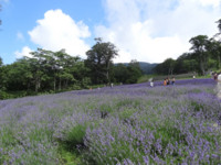 f:id:sak1sak:20120819103710j:image