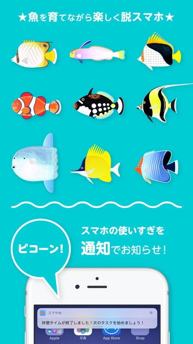 f:id:saka-mo:20170319233128j:plain f:id:saka-mo:20170319233128j:plain