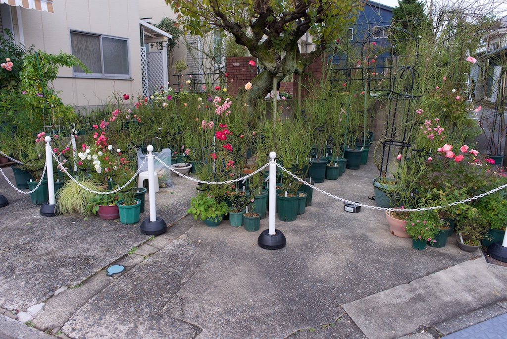 f:id:saka6060:20191202174434j:plain