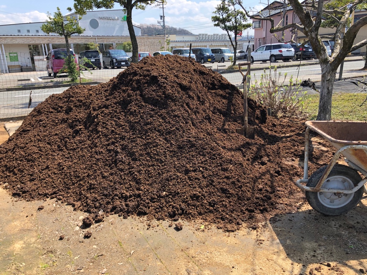 牛フンで大仕事でした ばらとながぐつ