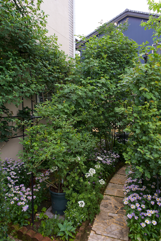 f:id:saka6060:20200506204852j:plain