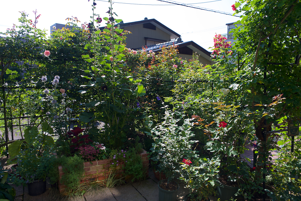 f:id:saka6060:20200719194628j:plain