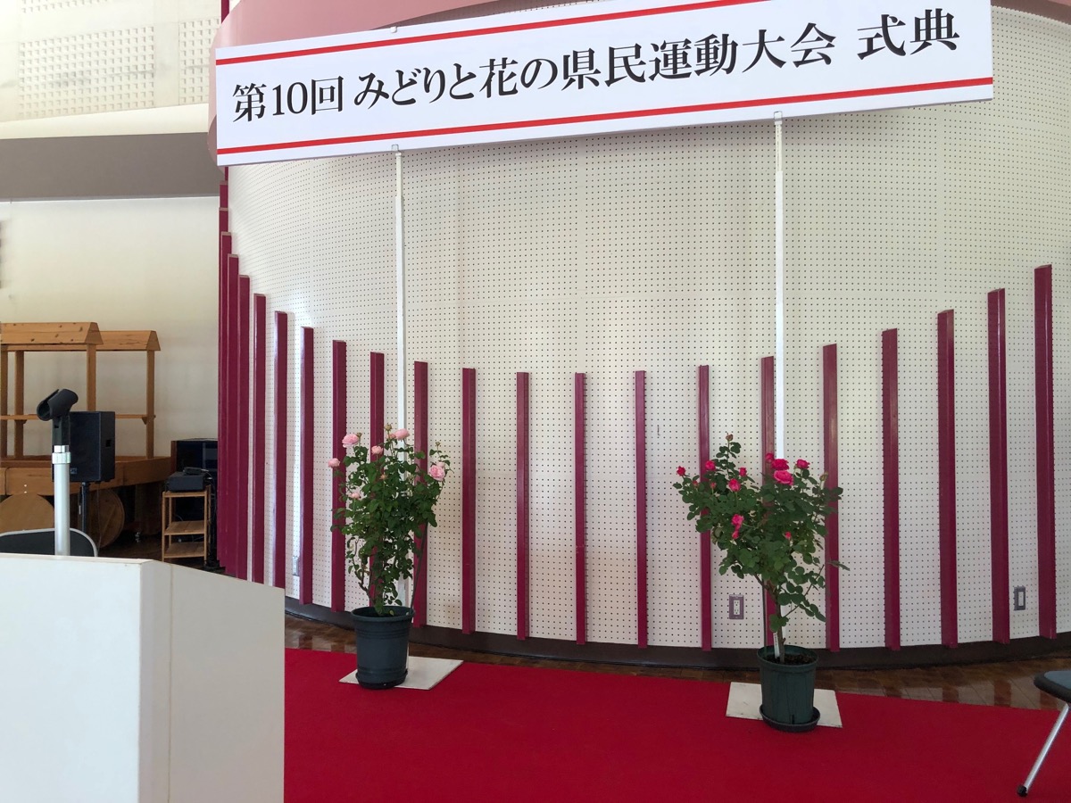 f:id:saka6060:20201011214902j:plain