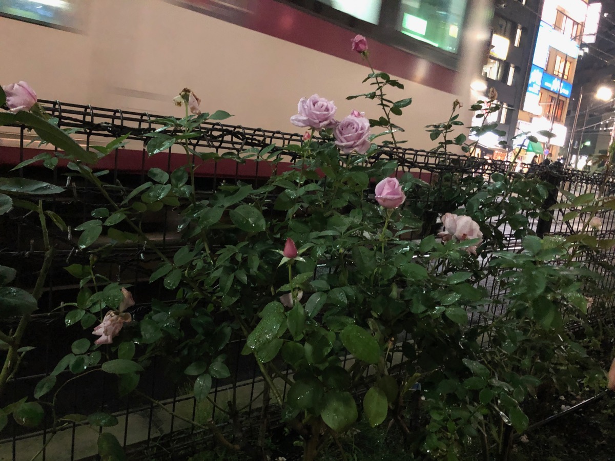 f:id:saka6060:20201025183253j:plain