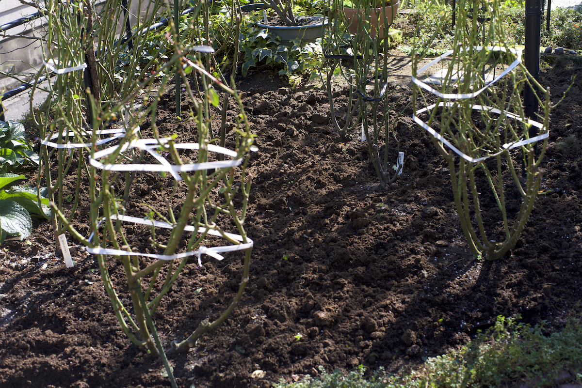 f:id:saka6060:20201129175647j:plain