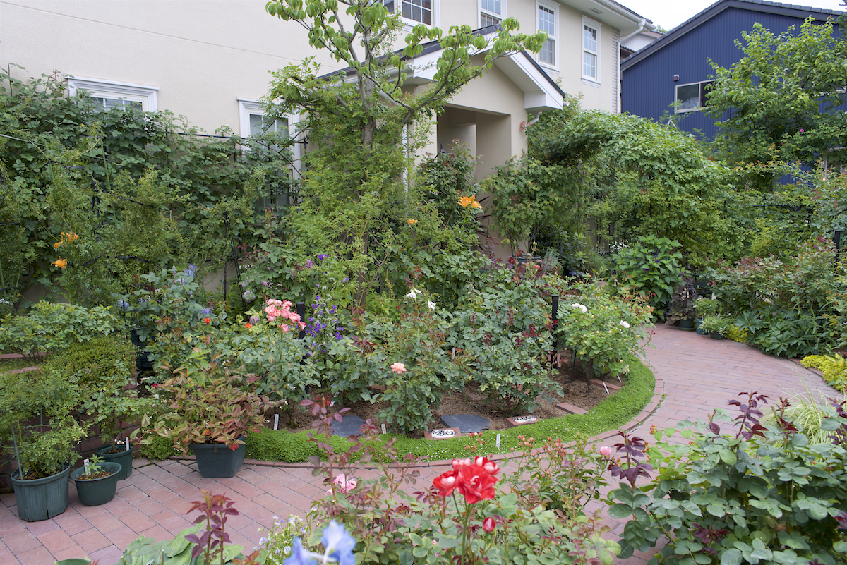 f:id:saka6060:20210625194046j:plain