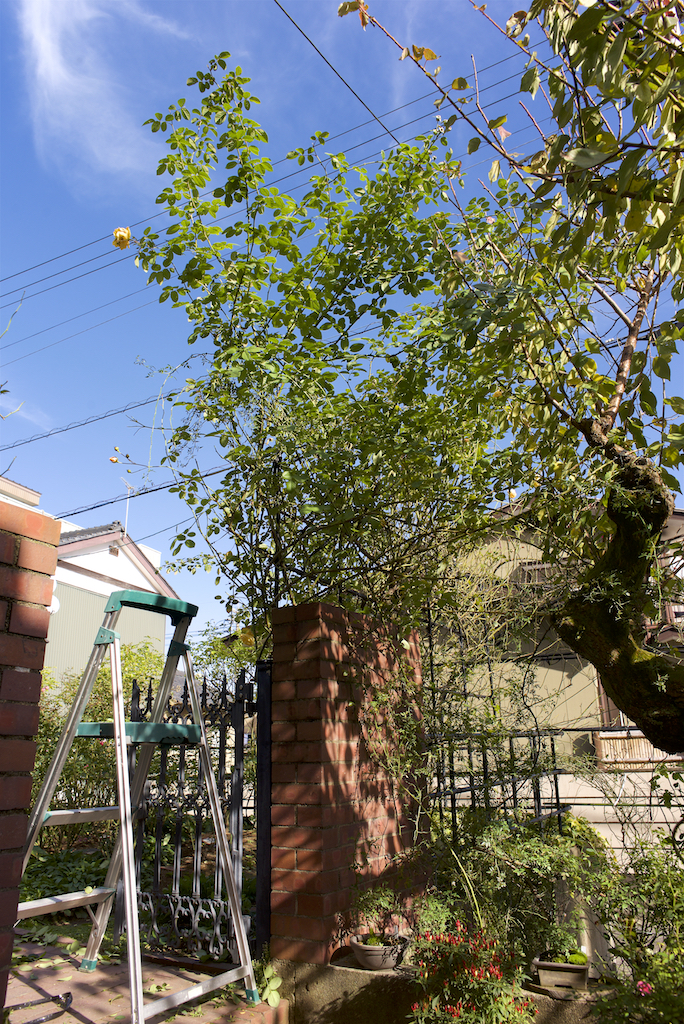 f:id:saka6060:20211129191330j:plain
