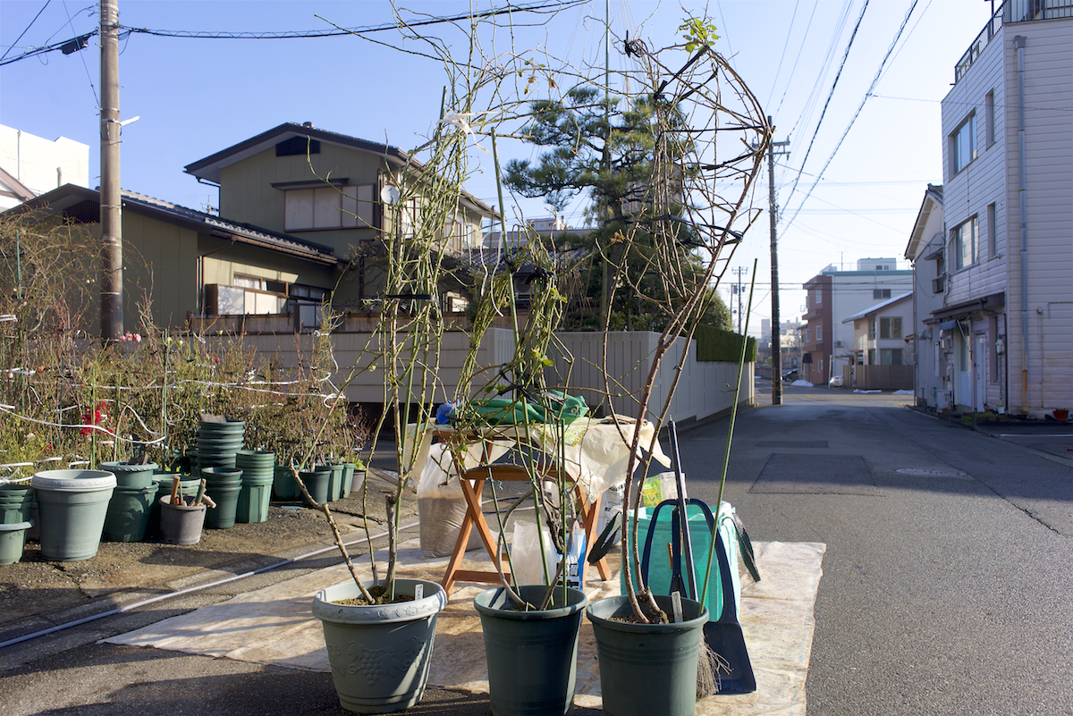 f:id:saka6060:20220110183838j:plain