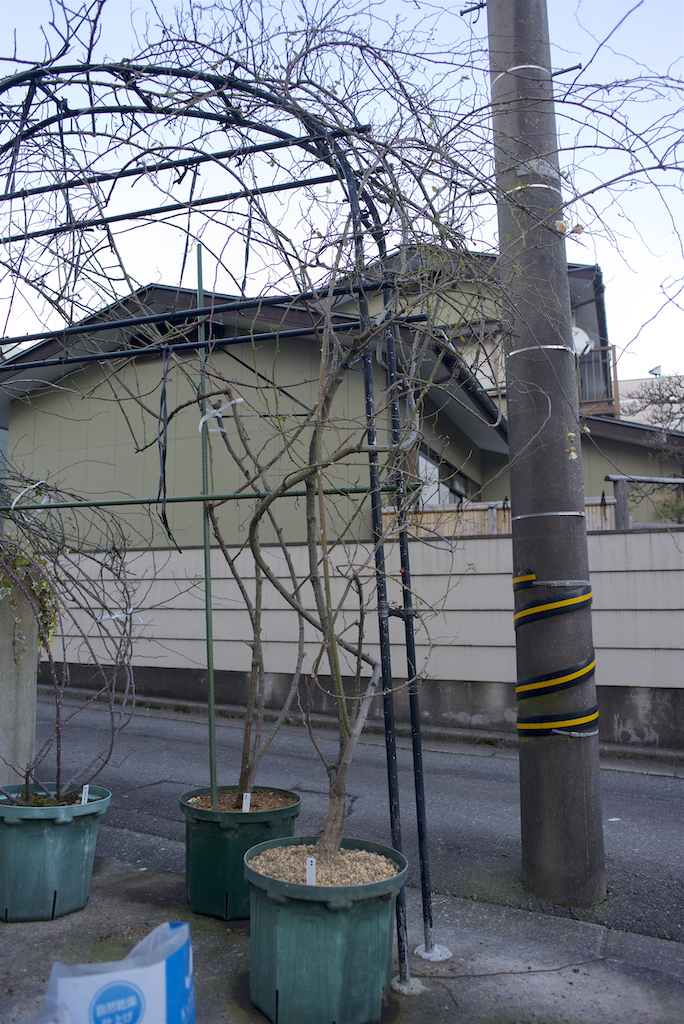 f:id:saka6060:20220110183914j:plain