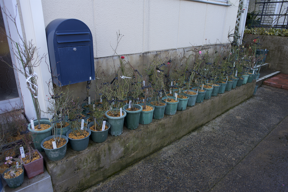 f:id:saka6060:20220214184404j:plain