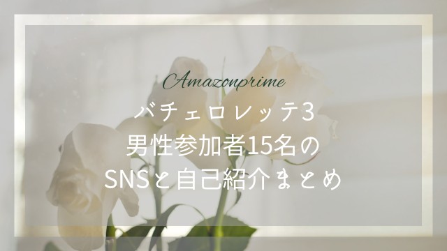 f:id:saka7k:20240531121119j:image