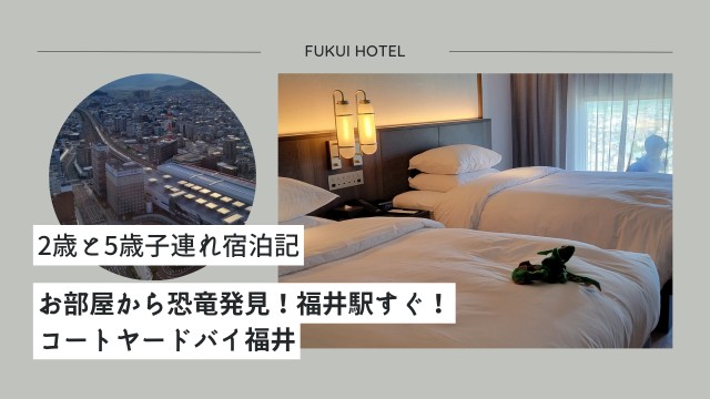 f:id:saka7k:20240820131150j:image