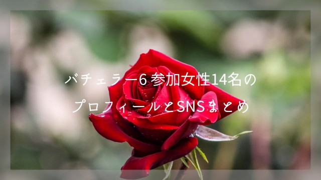 f:id:saka7k:20250523222553j:image