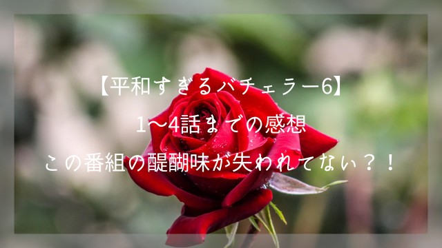 f:id:saka7k:20250612152242j:image