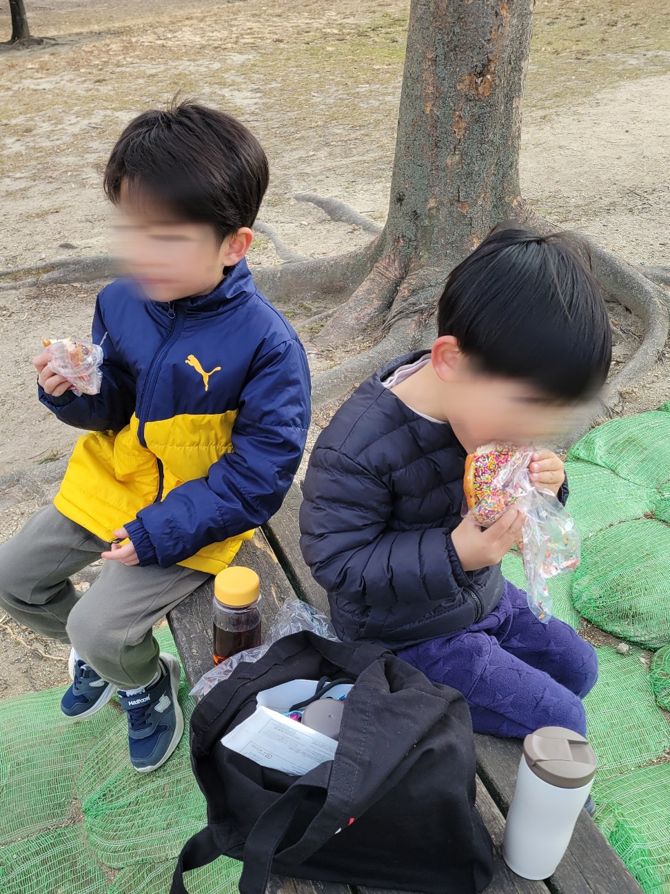 f:id:saka7k:20260203100307j:image