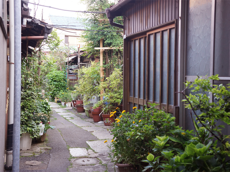 f:id:sakabaz:20190607054152j:plain