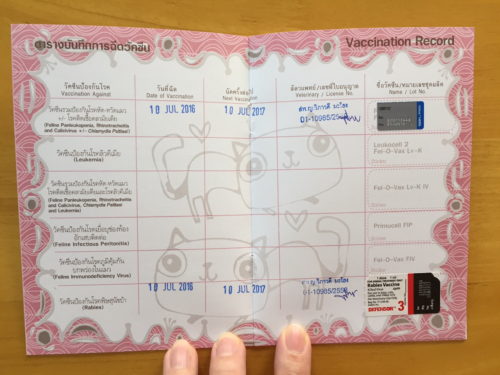 バンコクの動物病院で猫の狂犬病＆ワクチン接種 - サバイサバーイな 