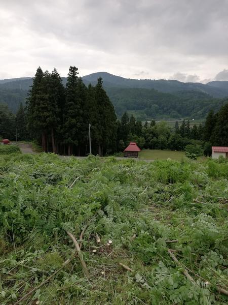 f:id:sakaemurakyouryokutai:20190724184135j:plain f:id:sakaemurakyouryokutai:20190724184135j:plain