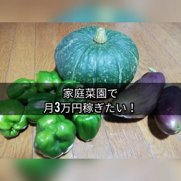 f:id:sakaemurakyouryokutai:20191203185131j:plain