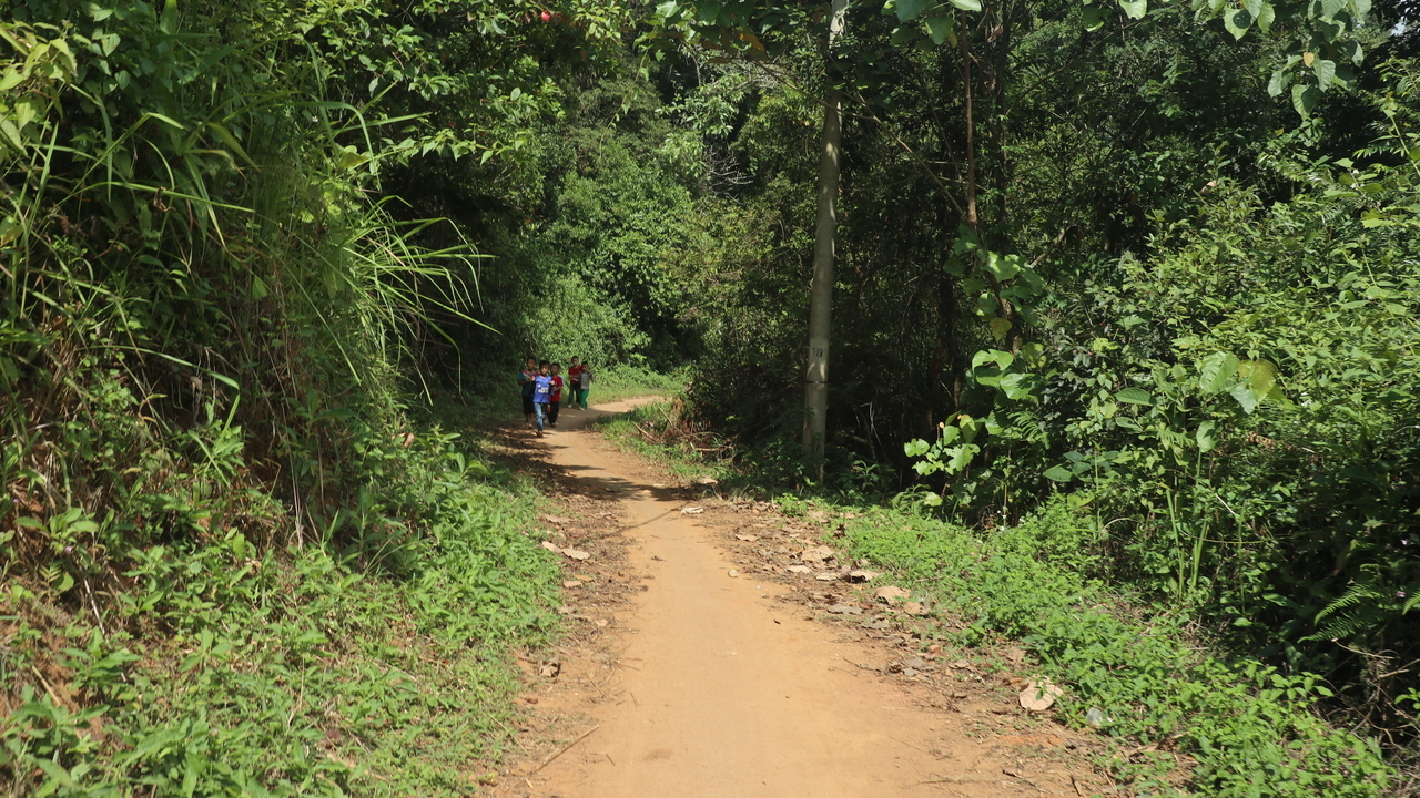 f:id:sakaesukemura:20191203110304j:plain f:id:sakaesukemura:20191203110304j:plain