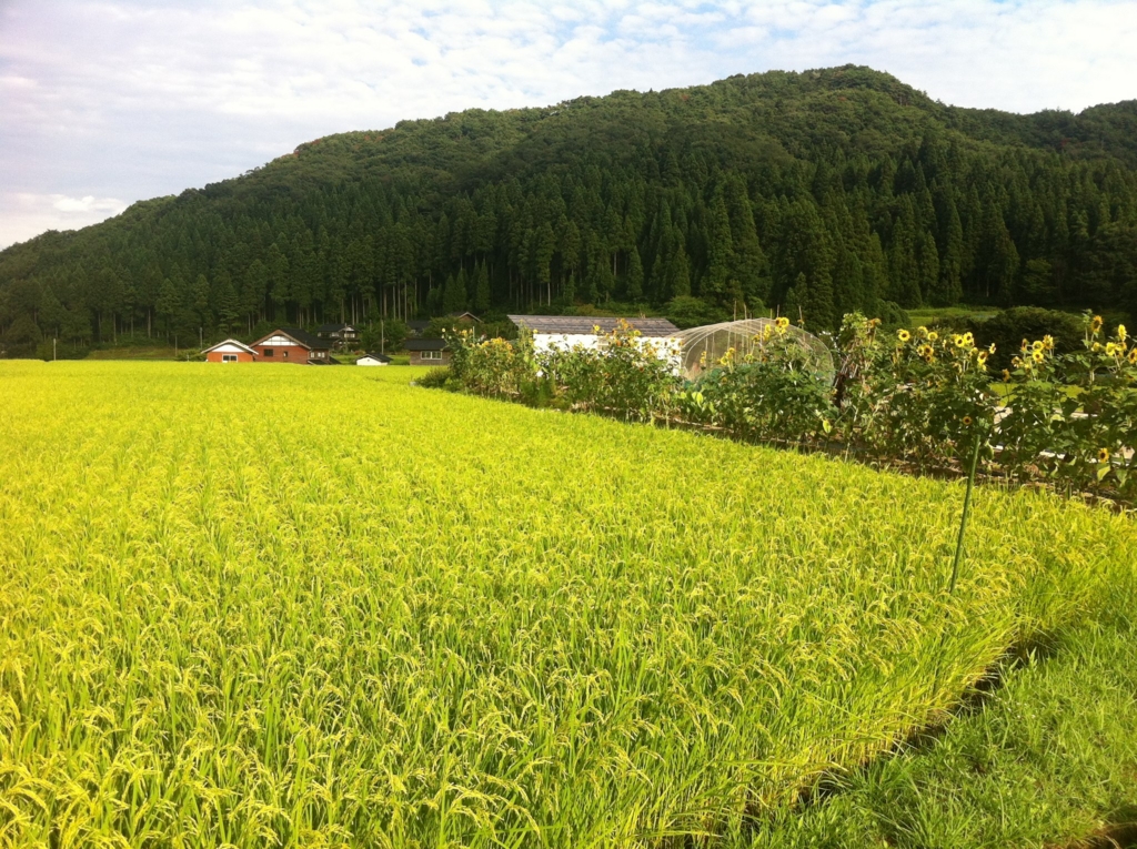 f:id:sakagami5:20170126165715j:plain f:id:sakagami5:20170126165715j:plain