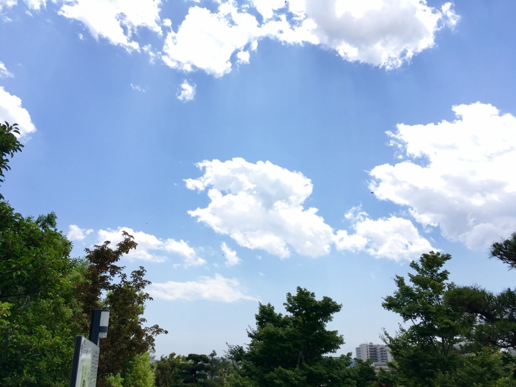 f:id:sakagami5:20170602112818j:plain f:id:sakagami5:20170602112818j:plain