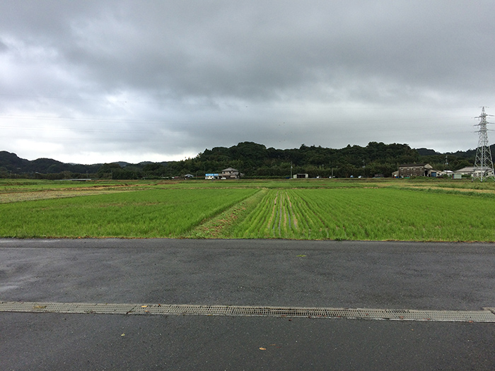 f:id:sakaguchi_hatebu:20170930221823j:plain f:id:sakaguchi_hatebu:20170930221823j:plain