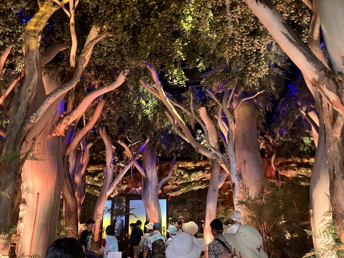 大阪・関西万博その2】オーストラリア館 - sakai-shinkyuin's blog