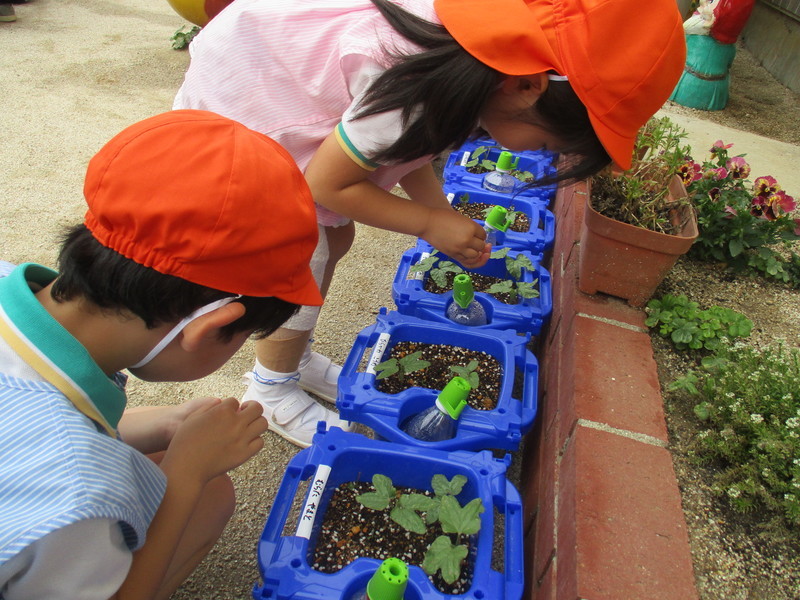 f:id:sakaikita:20210524090929j:plain