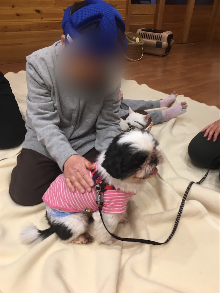 f:id:sakaivet2019:20200115183301j:image
