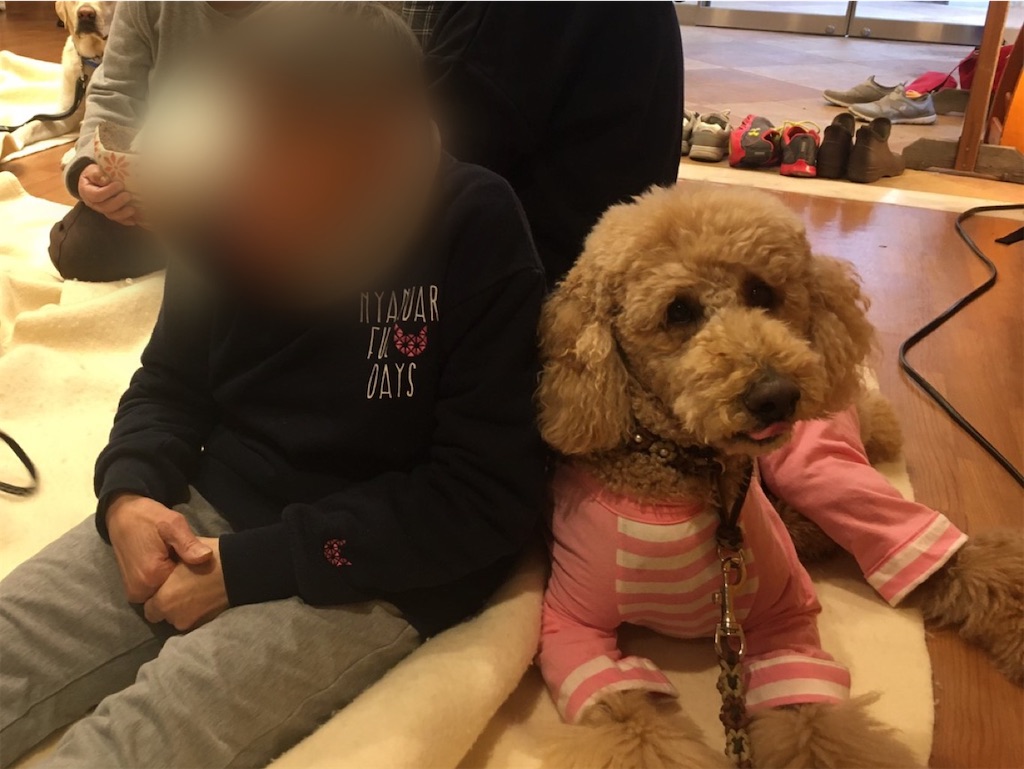 f:id:sakaivet2019:20200115183314j:image
