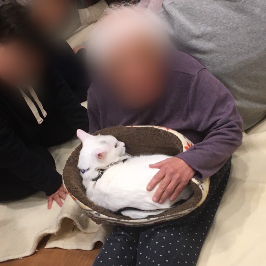 f:id:sakaivet2019:20200115184746j:image