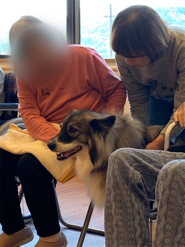 f:id:sakaivet2019:20200115223018j:image f:id:sakaivet2019:20200115223018j:image