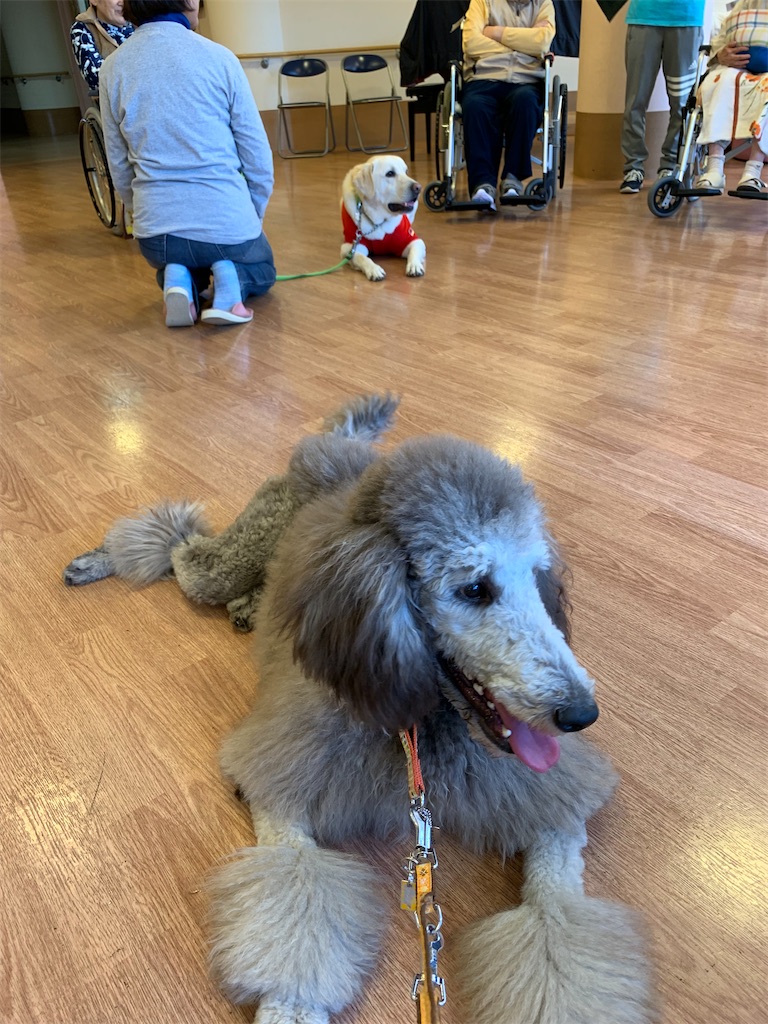 f:id:sakaivet2019:20200115223033j:image f:id:sakaivet2019:20200115223033j:image